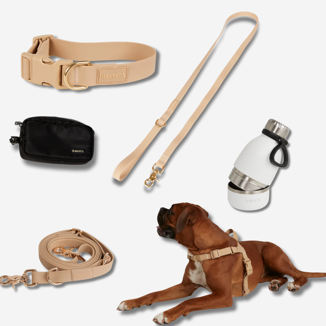 Ultimate Walk Pack