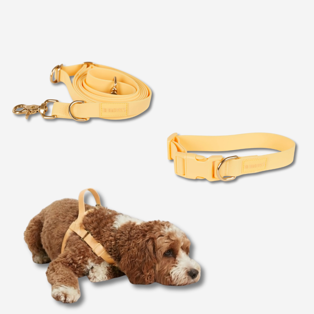 Hands Free Daily Pack