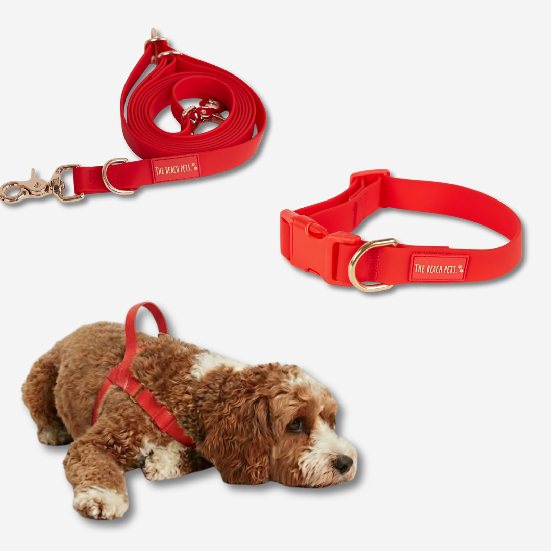 Hands Free Daily Pack