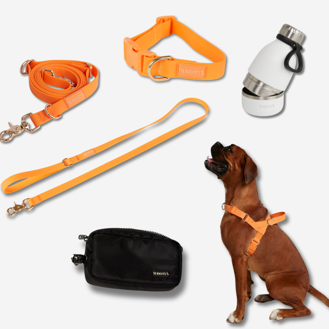 Ultimate Walk Pack