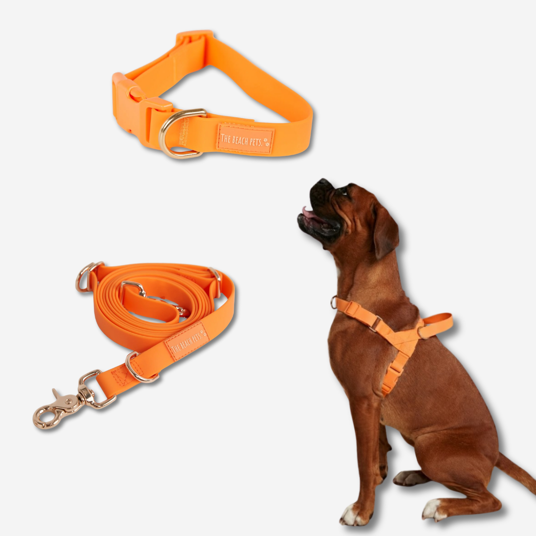 Hands Free Daily Pack