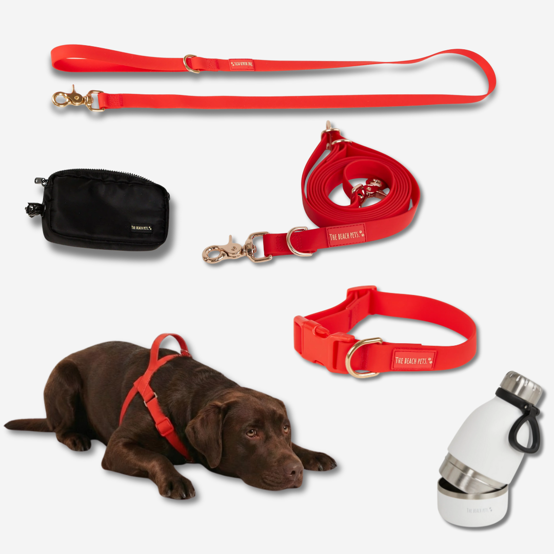 Ultimate Walk Pack