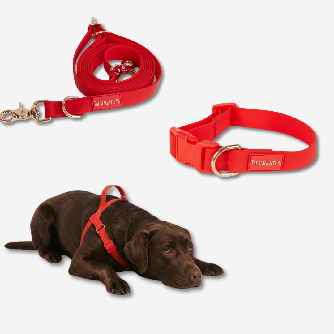 Hands Free Daily Pack