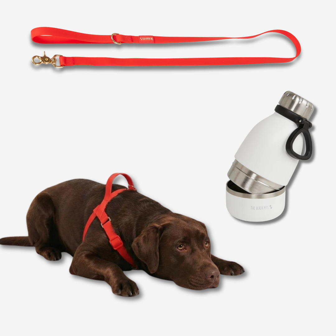 Hydration Pack