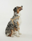 Waterproof No-Pull Dog Harness - Sand