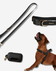 Daily Walk Pack