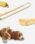 Daily Walk Pack