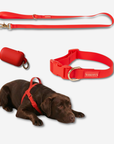 Daily Walk Pack