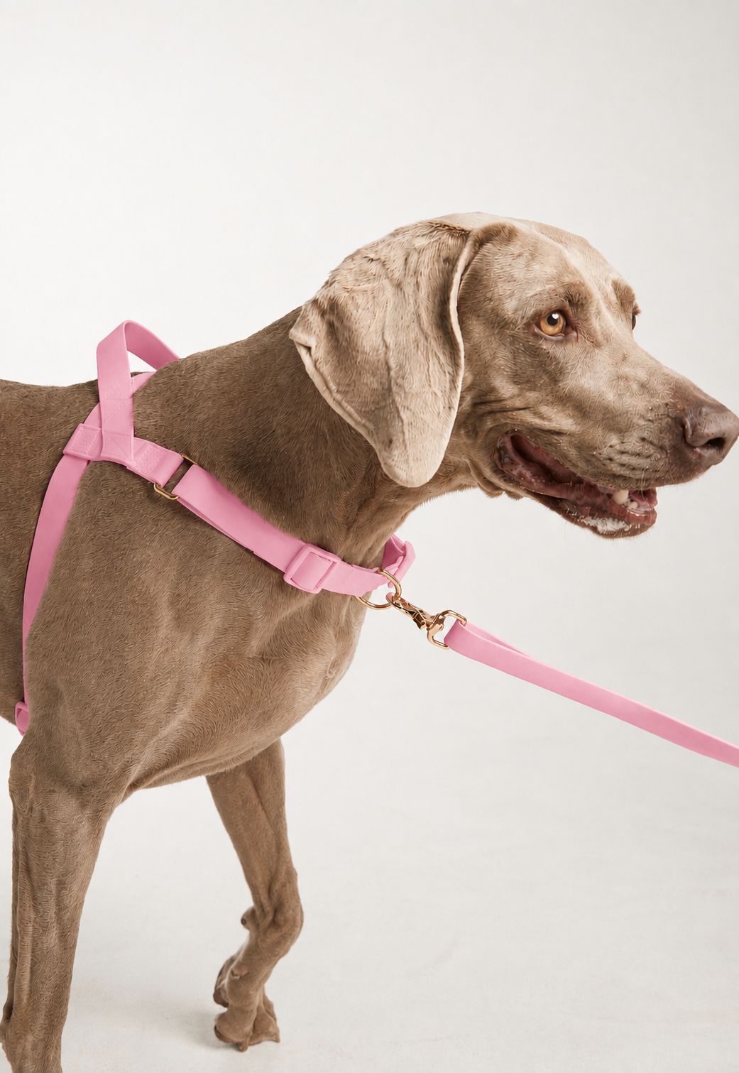 Waterproof No-Pull Dog Harness - Candy Pink *Available Mid October*