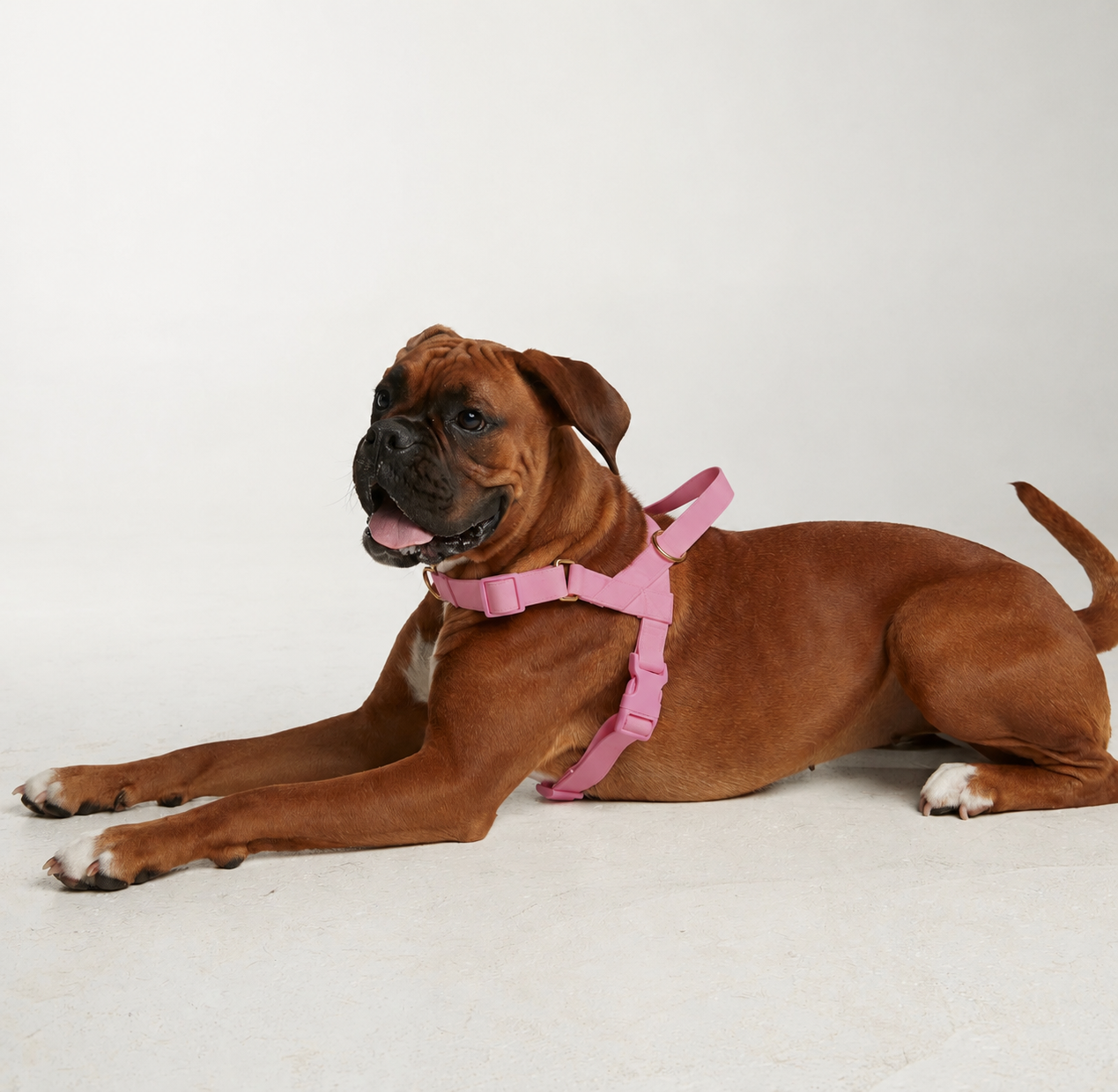 Waterproof No-Pull Dog Harness - Candy Pink *Available Mid October*