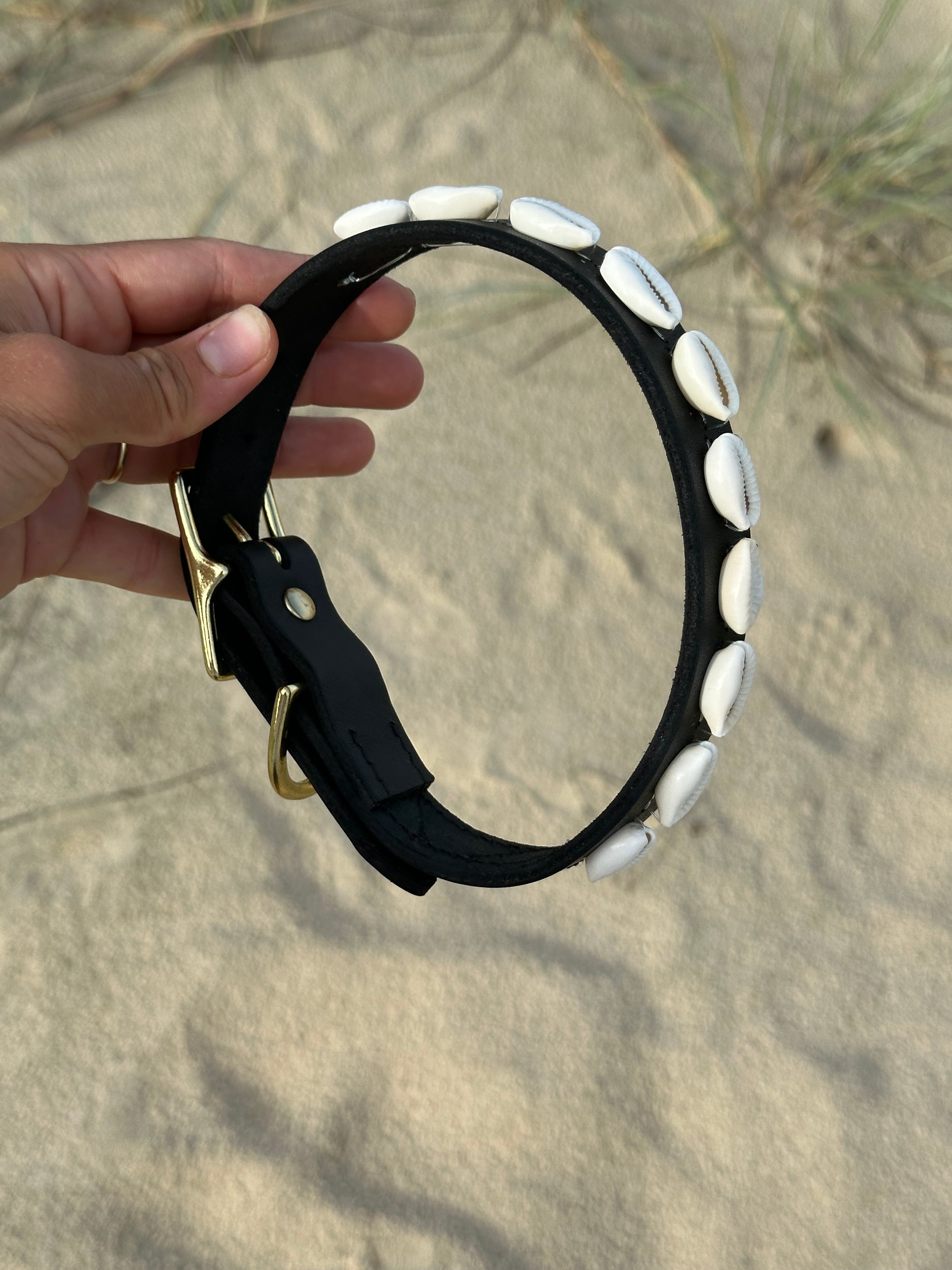 Black Leather Shell Collar – The Beach Pets