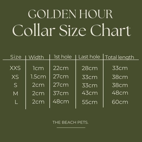 Golden Hour Cowrie Collar