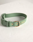 Sage Green Everyday Dog Collar