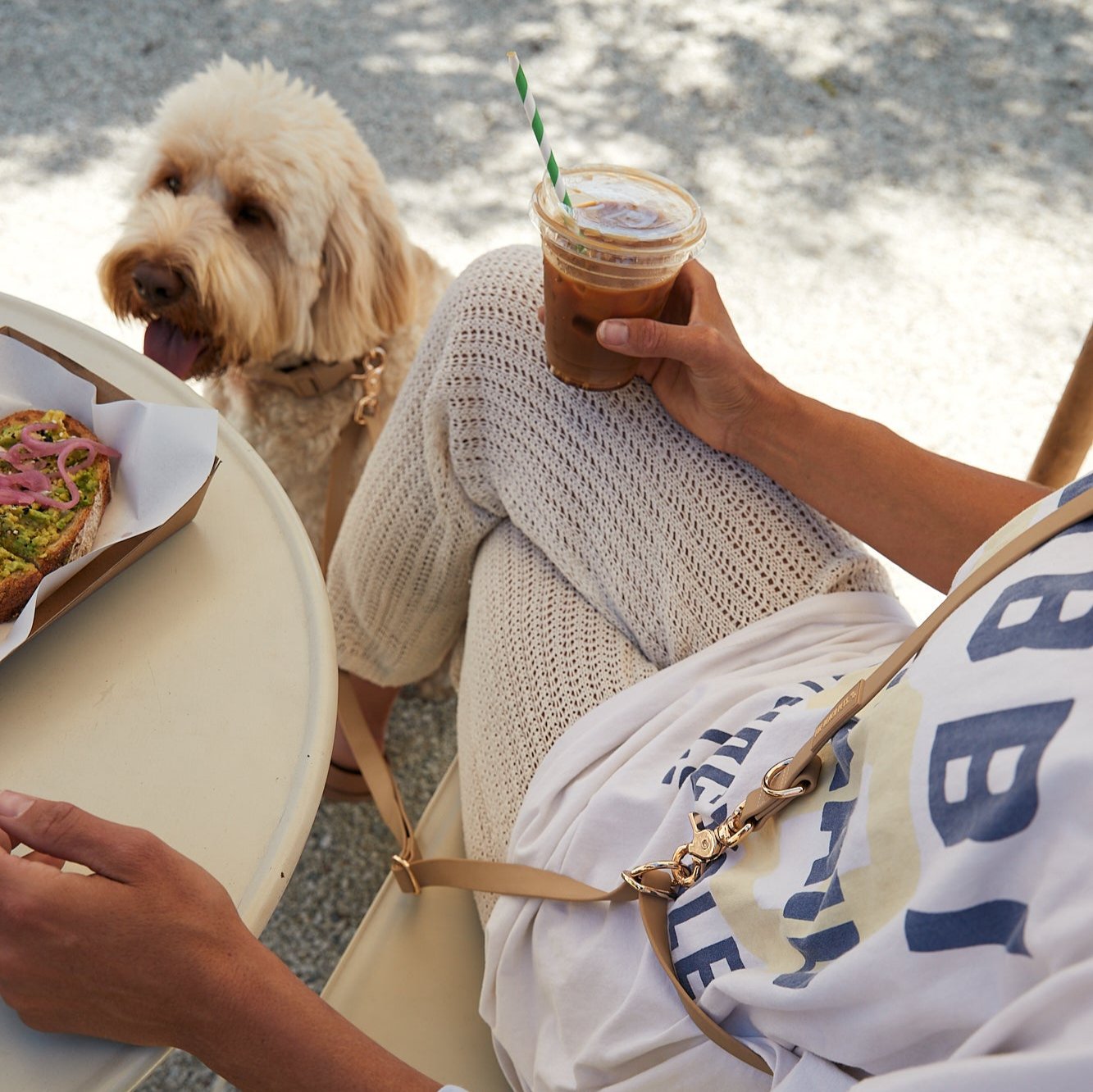 Hands Free Dog Lead - Sand