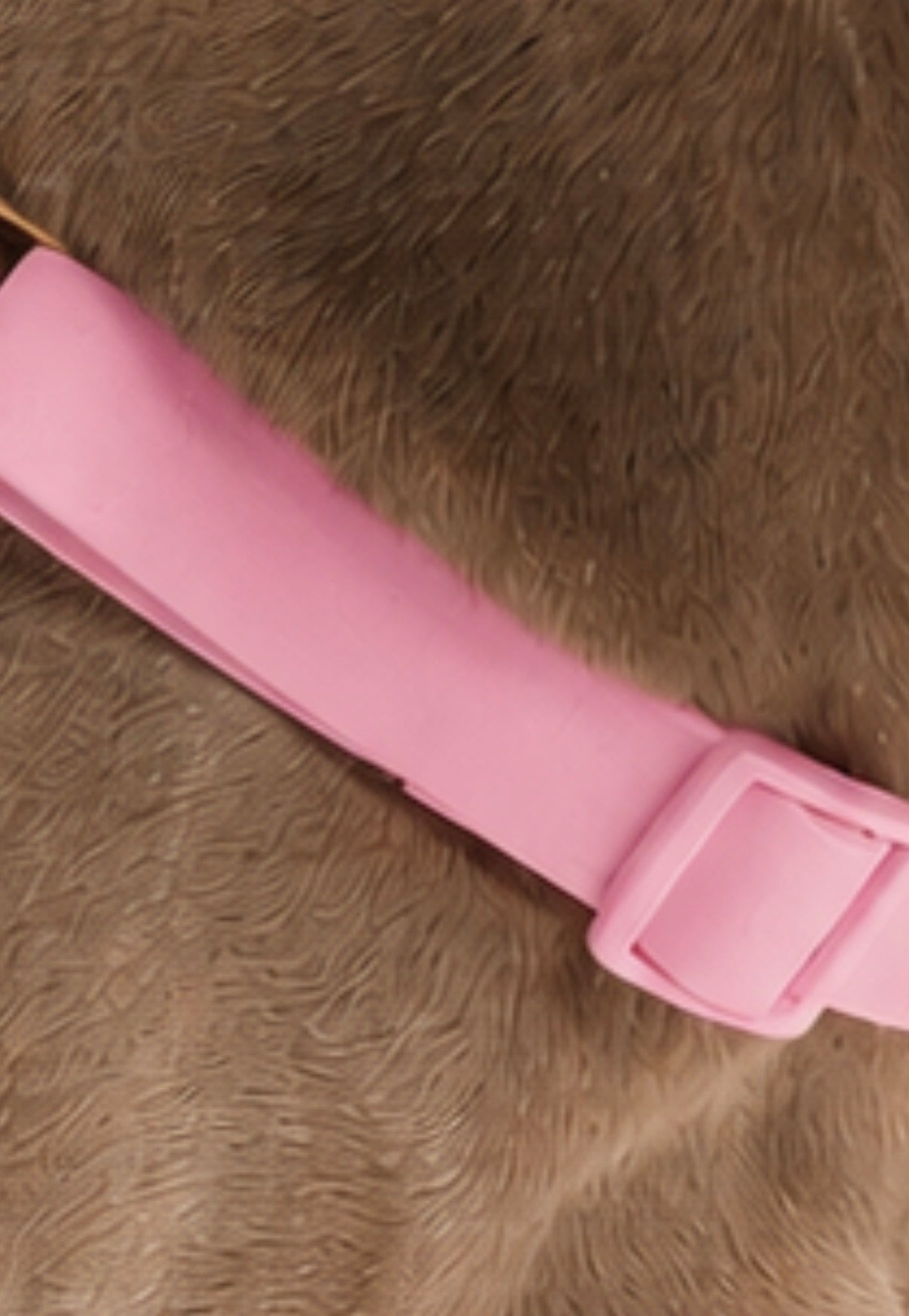 Waterproof No-Pull Dog Harness - Candy Pink *Available Mid October*
