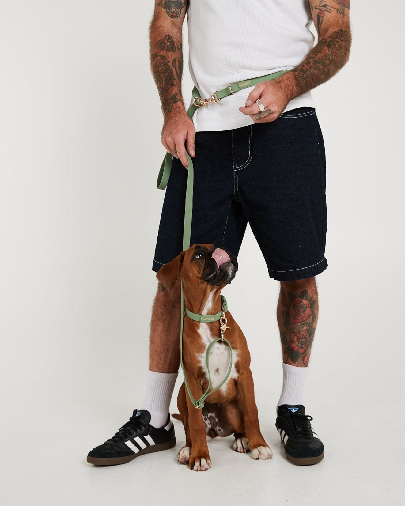 Hands Free Dog Lead - Sage Green