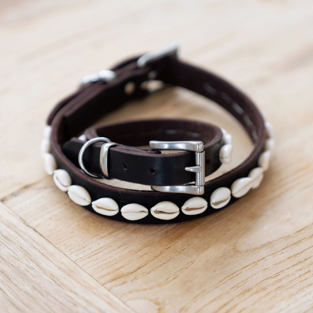 Beach dog shop collars